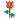 Flower OF love. 1338079516